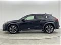 2018 Lexus UX