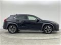 2018 Lexus UX