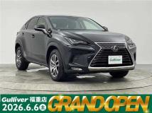 2020 Lexus NX