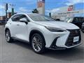 2023 Lexus NX