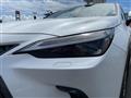 2023 Lexus NX