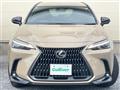 2024 Lexus NX