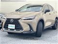 2024 Lexus NX