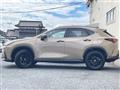 2024 Lexus NX