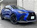 2021 Lexus NX