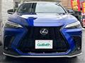2021 Lexus NX