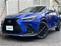 2021 Lexus NX