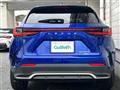 2021 Lexus NX