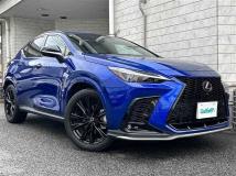 2021 Lexus NX