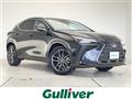 2025 Lexus NX