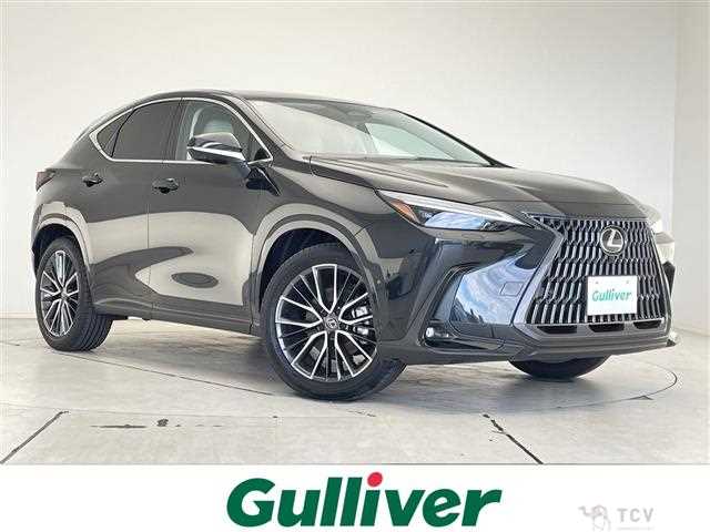 2025 Lexus NX