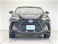 2025 Lexus NX
