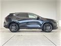 2025 Lexus NX