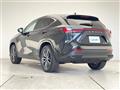 2025 Lexus NX