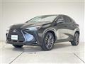2025 Lexus NX
