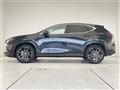 2025 Lexus NX