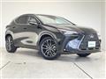 2025 Lexus NX
