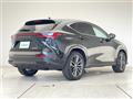 2025 Lexus NX