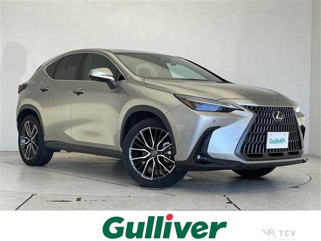 2023 Lexus NX