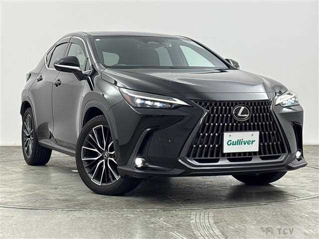 2023 Lexus NX