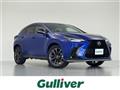 2022 Lexus NX