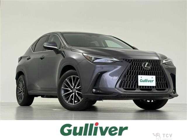 2023 Lexus NX