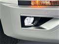 2019 Mitsubishi Delica D5