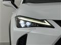 2019 Lexus UX