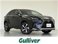 2021 Lexus NX