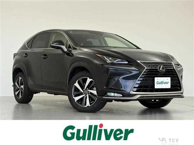 2021 Lexus NX