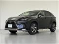 2021 Lexus NX