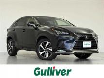 2021 Lexus NX