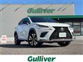 2019 Lexus NX