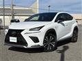 2019 Lexus NX
