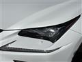 2019 Lexus NX