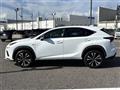 2019 Lexus NX