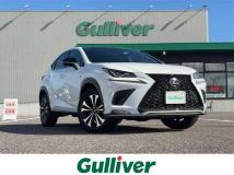 2019 Lexus NX