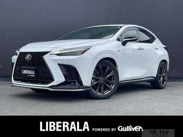 2021 Lexus NX