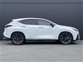 2021 Lexus NX