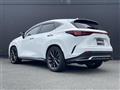 2021 Lexus NX