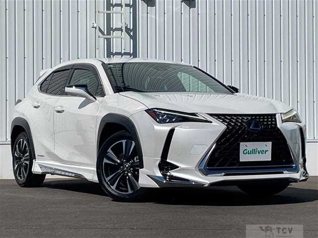 2021 Lexus UX