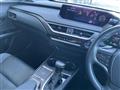 2021 Lexus UX