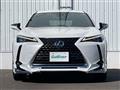 2021 Lexus UX