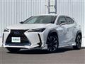 2021 Lexus UX