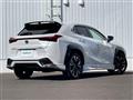 2021 Lexus UX
