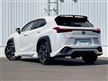 2021 Lexus UX