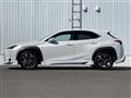 2021 Lexus UX