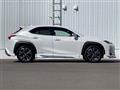 2021 Lexus UX