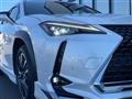 2021 Lexus UX