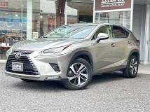 2018 Lexus NX